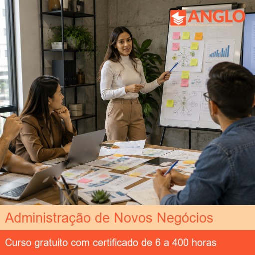 Administração de Novos Negócios